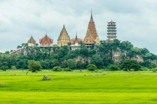 wat tham suea kanchanaburi view of the rice fields