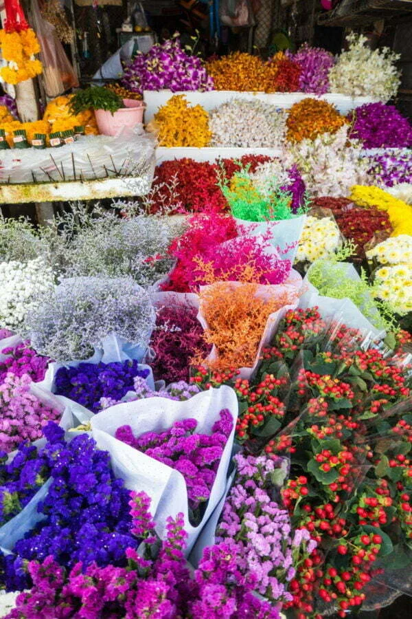 flowers at chiang mai market