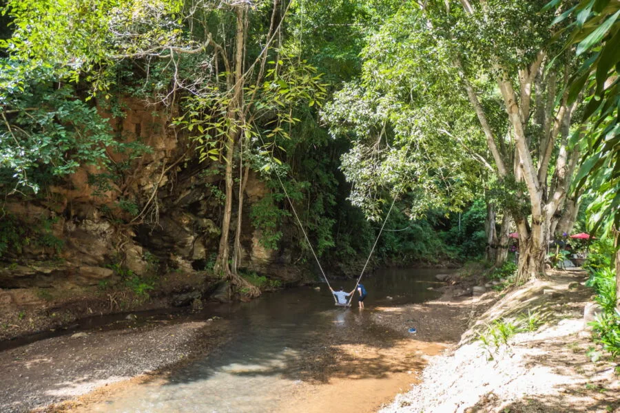 mae tha chang creek swing adjoining Valley Coffee By Lanna Resort