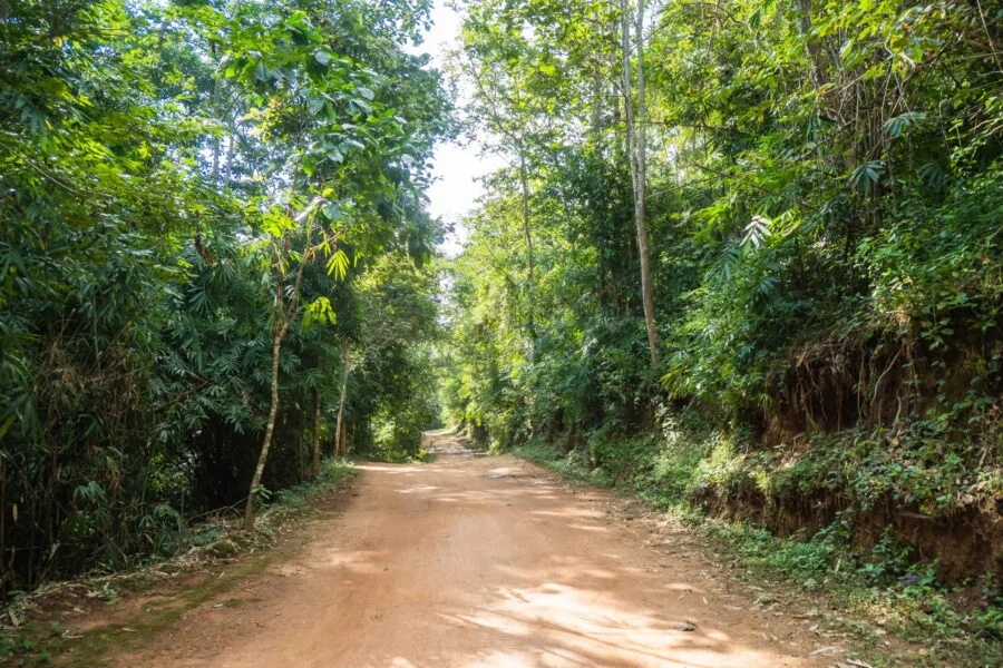 path leading to ob khan national park