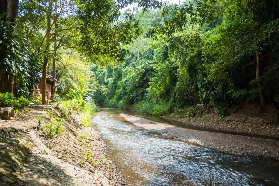 mae tha chang stream at Valley Coffee By Lanna Resort