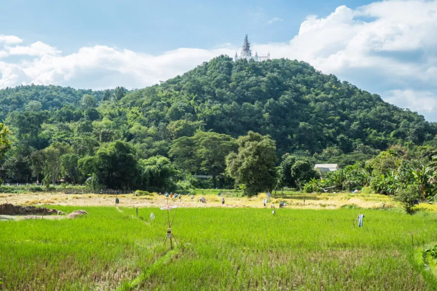 overall view of Wat Phra That Si Mueang Pong