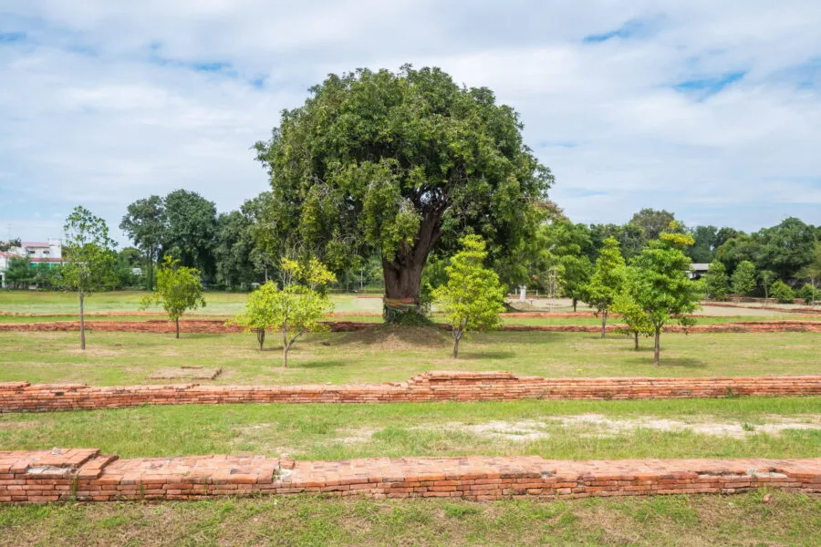 the ruins of the chan royal palace phitsanulok