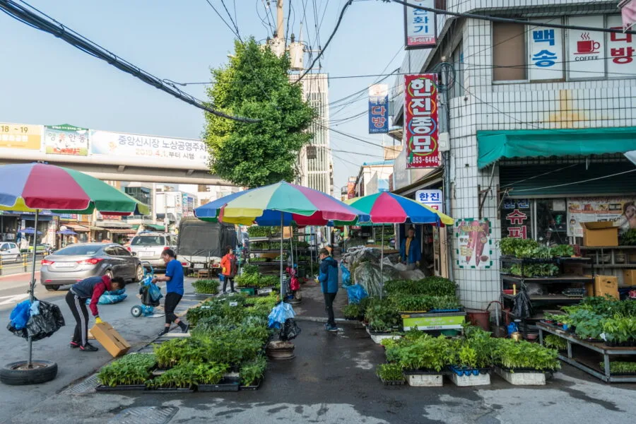 andong street south korea