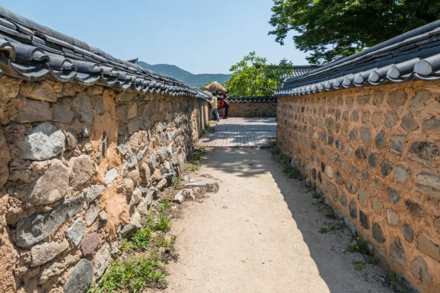 path leading to sacred tree hahoe