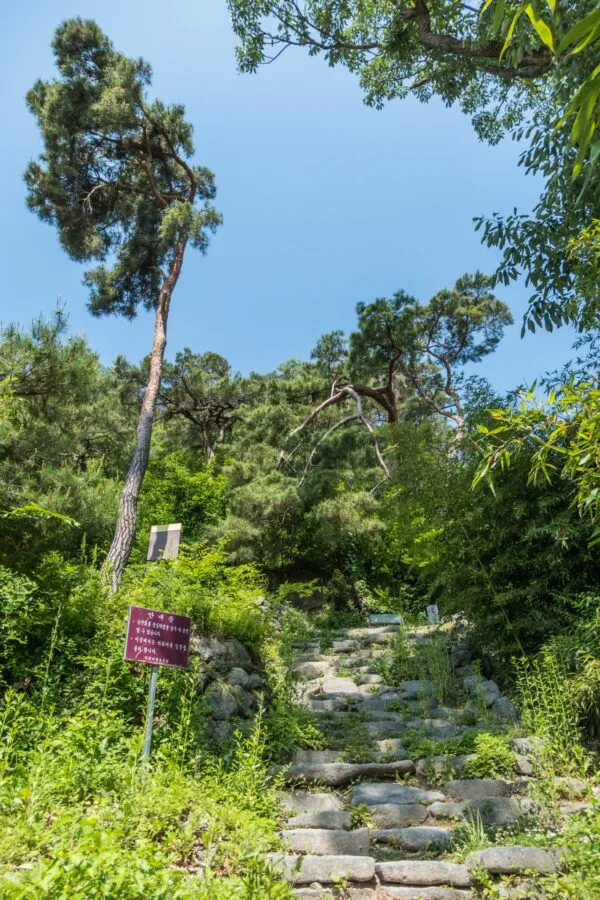 Buyongdae Hahoe cliff climbing path