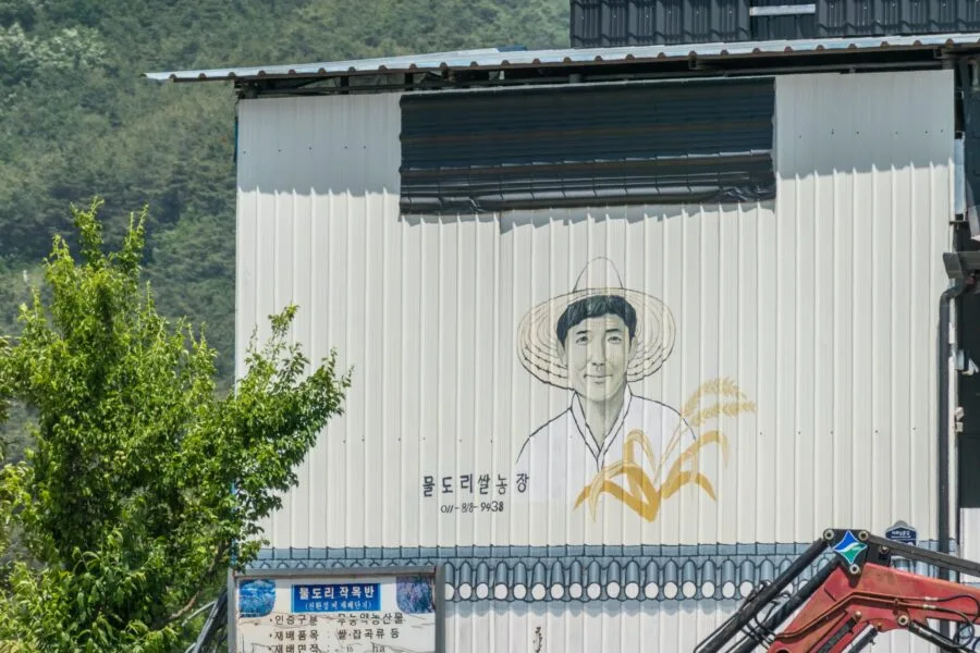 hahoe rice cooperative