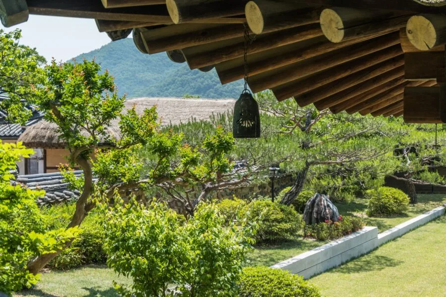 hahoe roof and garden