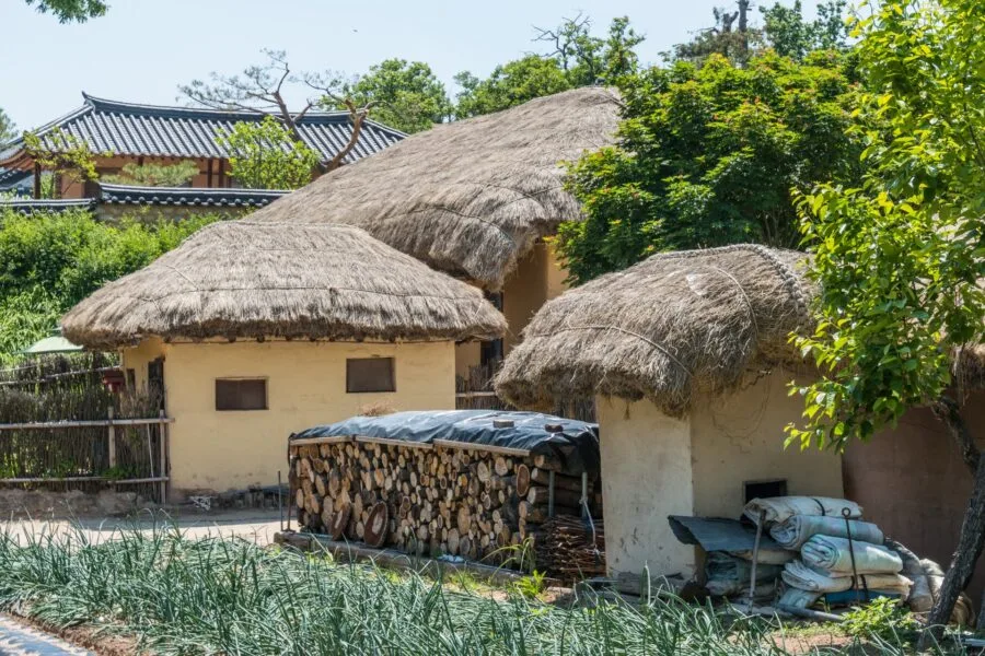hahoe thatched roofs