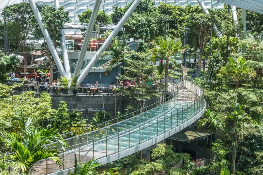 canopy bridge jewel changi airport singapore