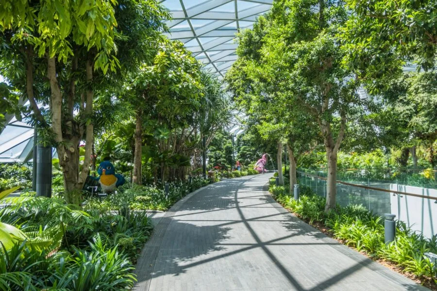 canopy park jewel changi airport singapore