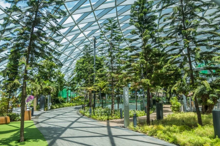 drill canopy park jewel changi airport singapore