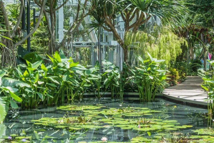 jewel marsh changi airport singapore