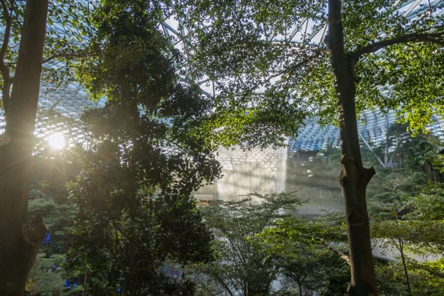 sunset jewel changi airport singapore