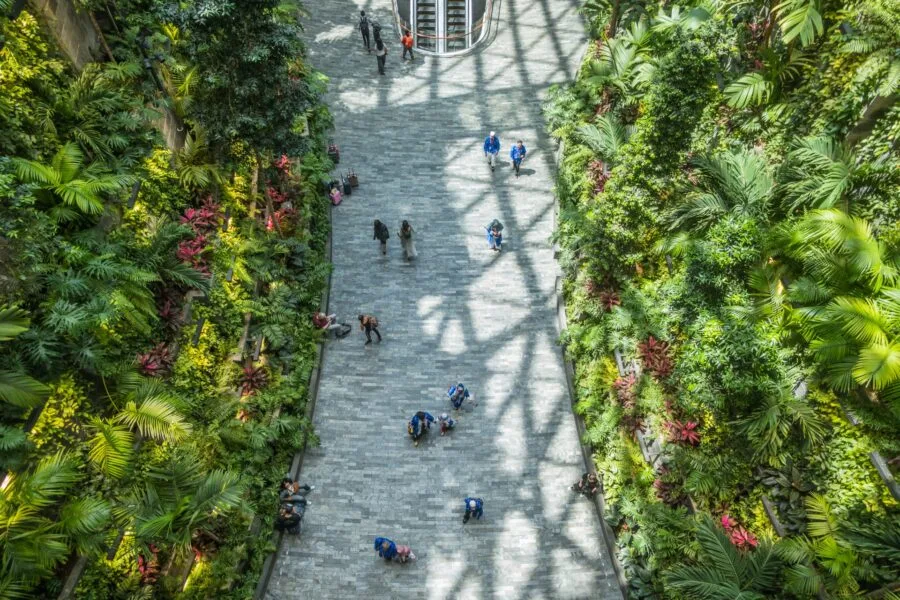 view from jewel terrace changi airport singapore