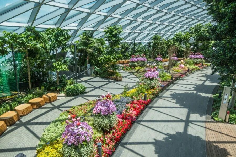 view flowers canopy park jewel changi airport singapore