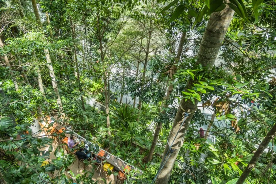 view forest jewel changi airport singapore
