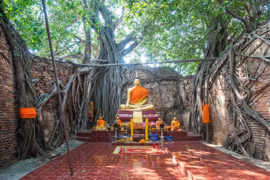 buddha interior wat sai - inburi