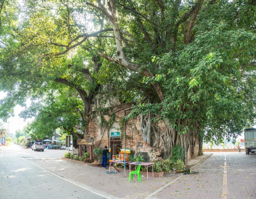 wat sai - inburi