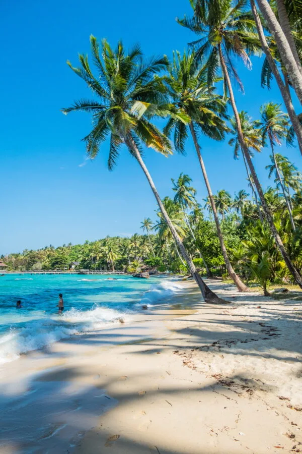 coconut trees beach ao noi resort ko kood