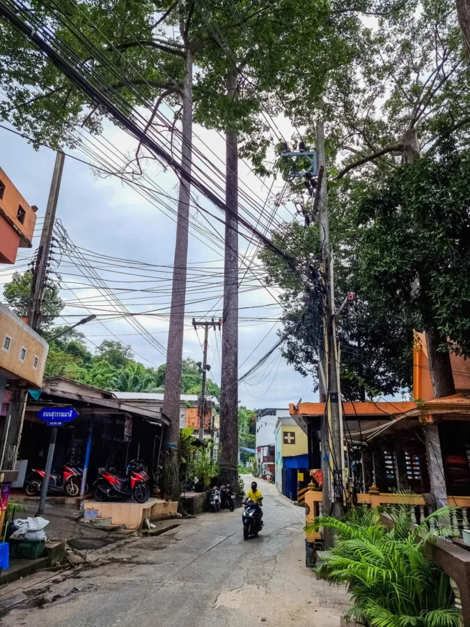 big trees near ko samet quay
