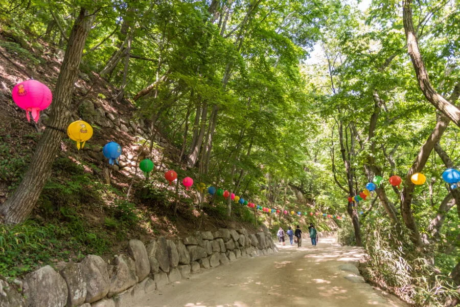 path leading to seokguram cave
