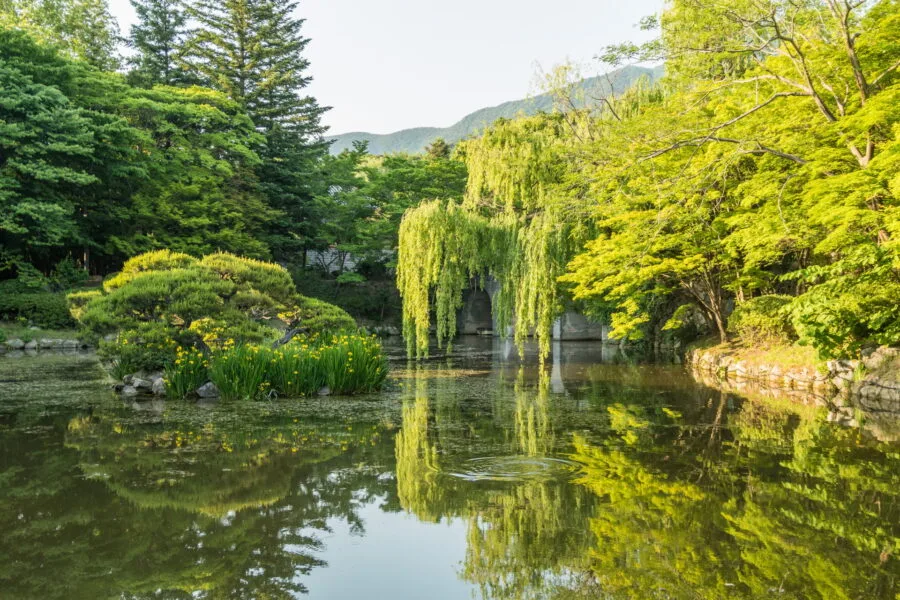 garden temple bulguksa gyeongju