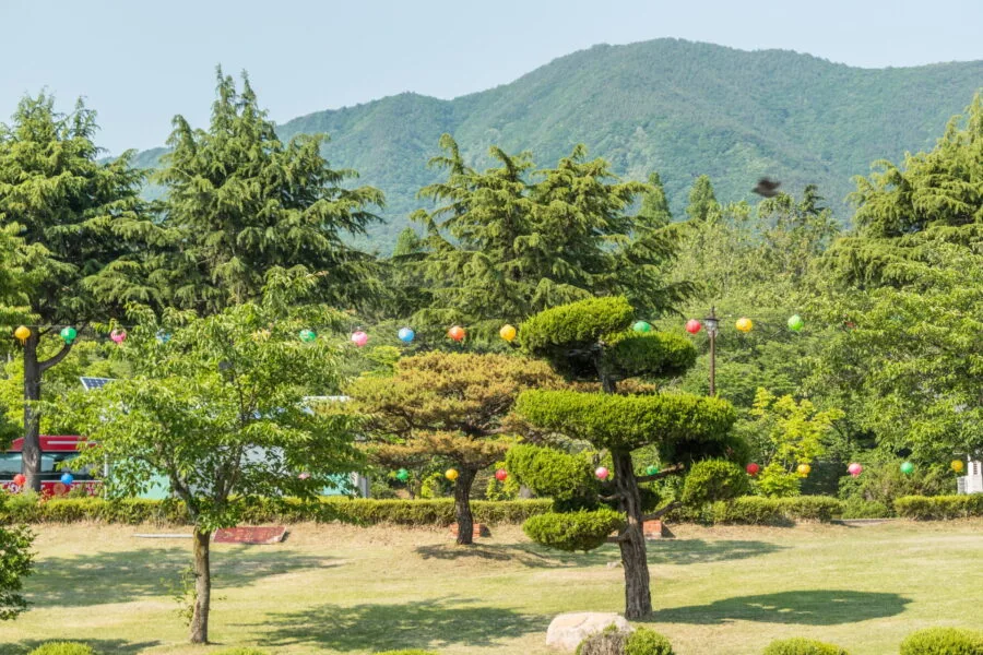 park in front of bulguksa gyeongju temple