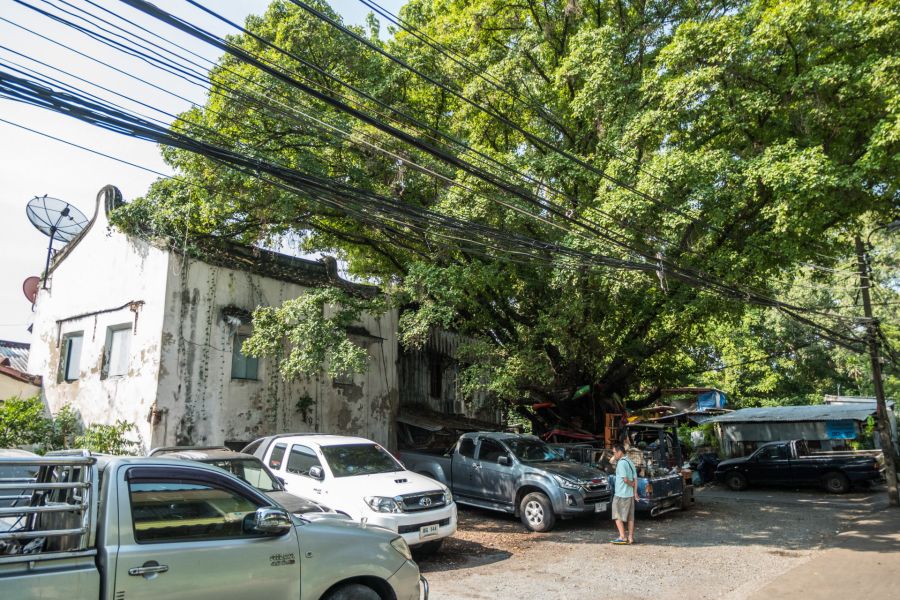 beau banian a talat noi bangkok