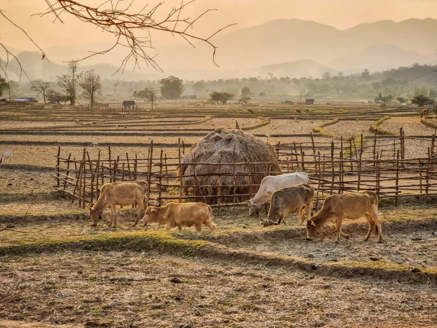 countryside around pai thailand