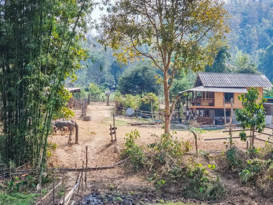 farm countryside pai thailand