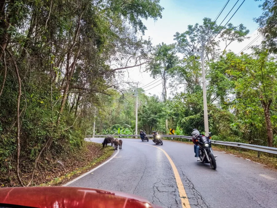 road chiang mai to pai thailand
