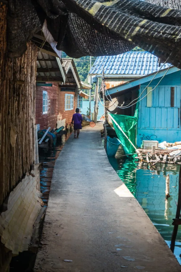 arrivee ao salad ko kood