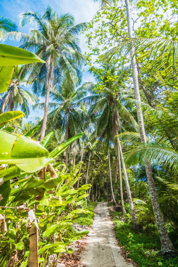 chemin acces plage Takhian ko kood