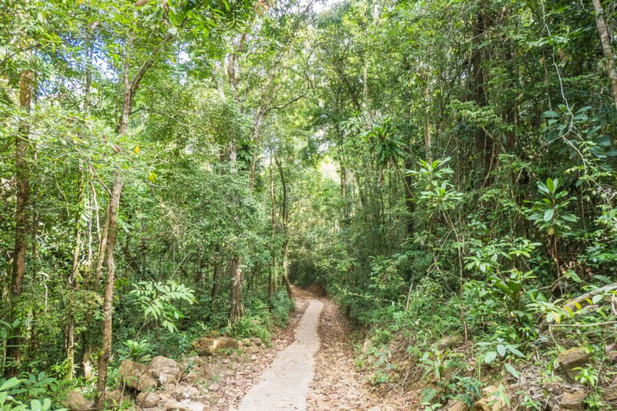chemin menant cascade khlong chao ko kood
