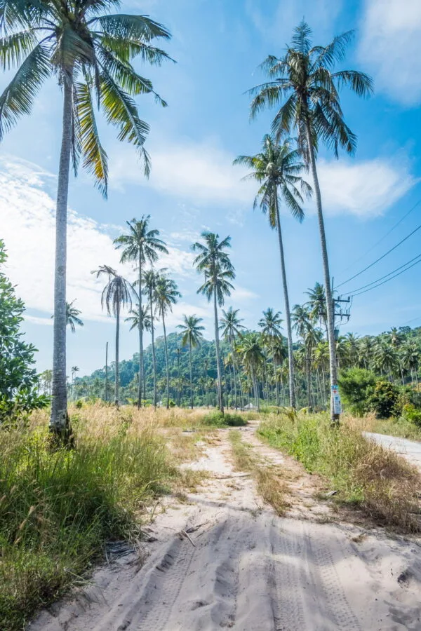 chemin vers plage ao phrao sud ko kood