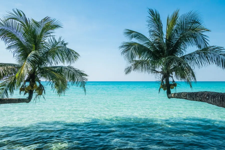 double cocotiers plage khlong chao ko kood