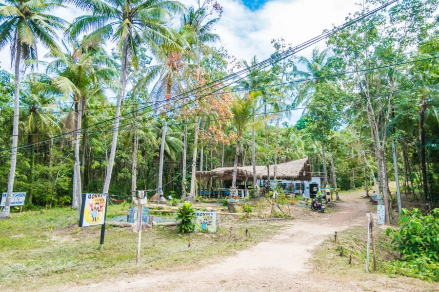 monkey garden restaurant ko kood