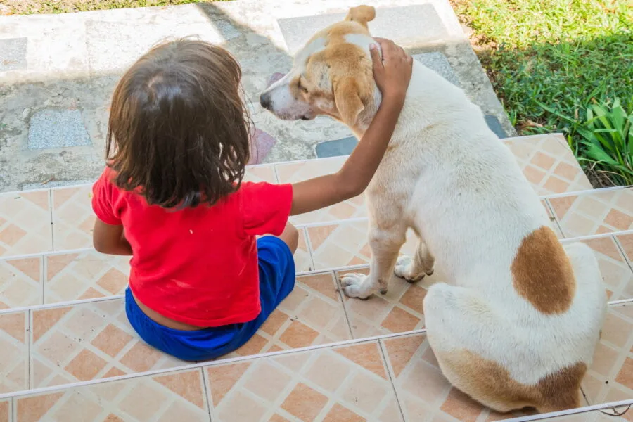 petite fille et chien wat ao salad ko kood