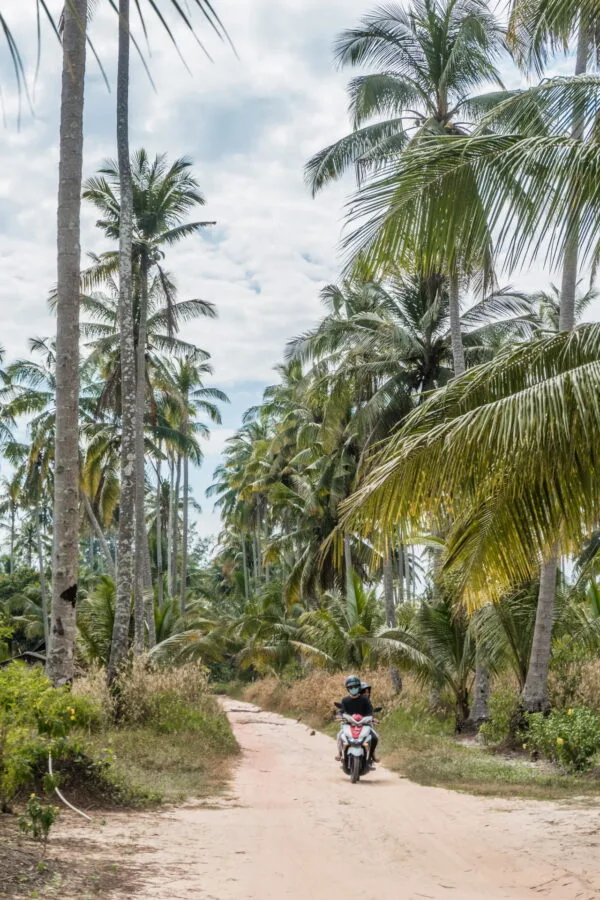 petite route sur ko kood