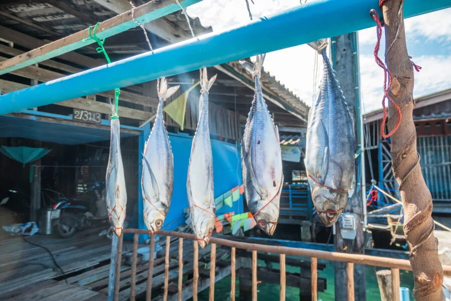 poissons sechant village ao yai ko kood