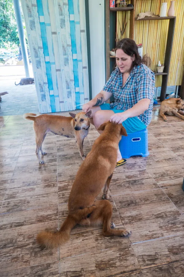 proprio sabai dog ko kood