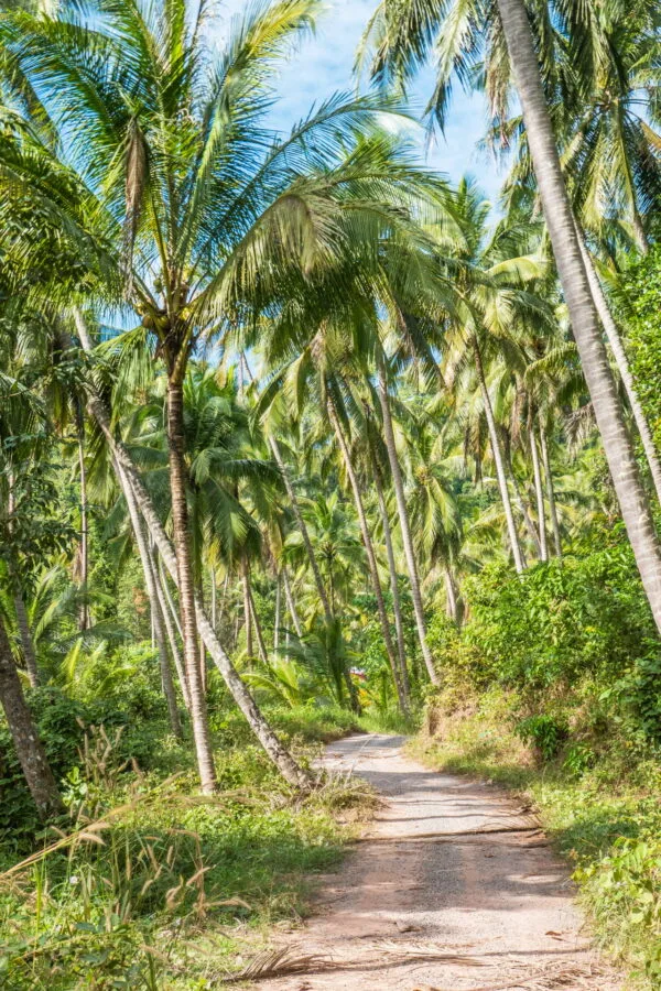 route menant plage ao jak ko kood