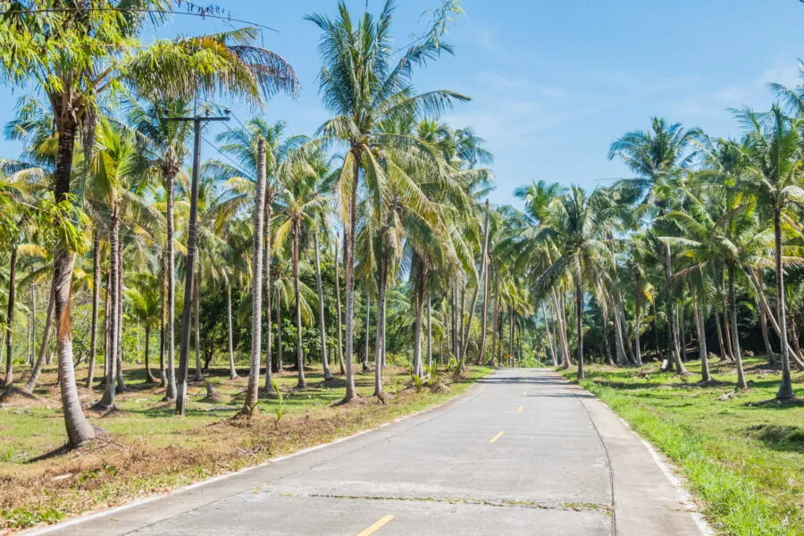 route vers cascade khlong chao ko kood