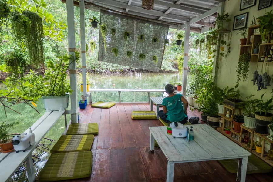 terrasse nomkhon station cafe ko kood