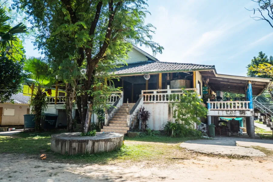 wat ao salad ko kood