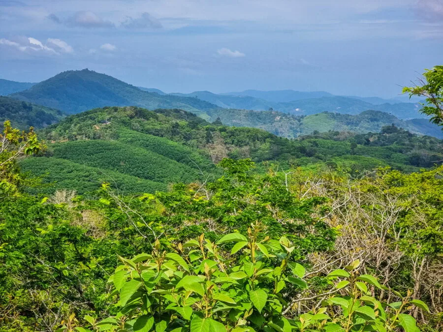 hills view from big buddha phuket
