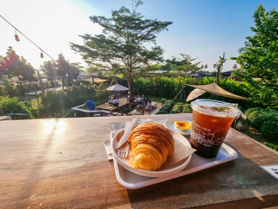 relaxation coffee near vientiane coff and farm laos