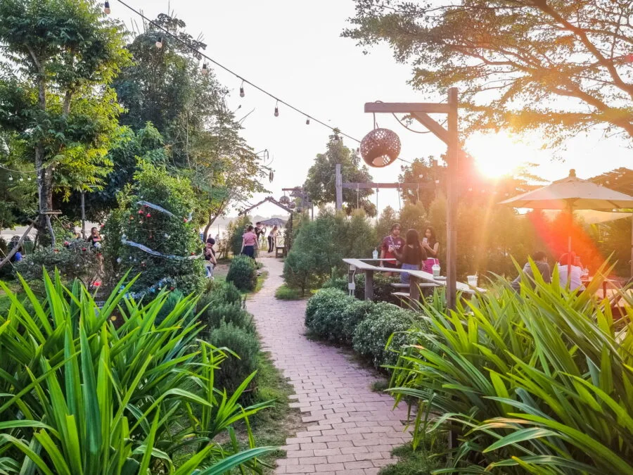 garden coffee near vientiane coff and farm laos