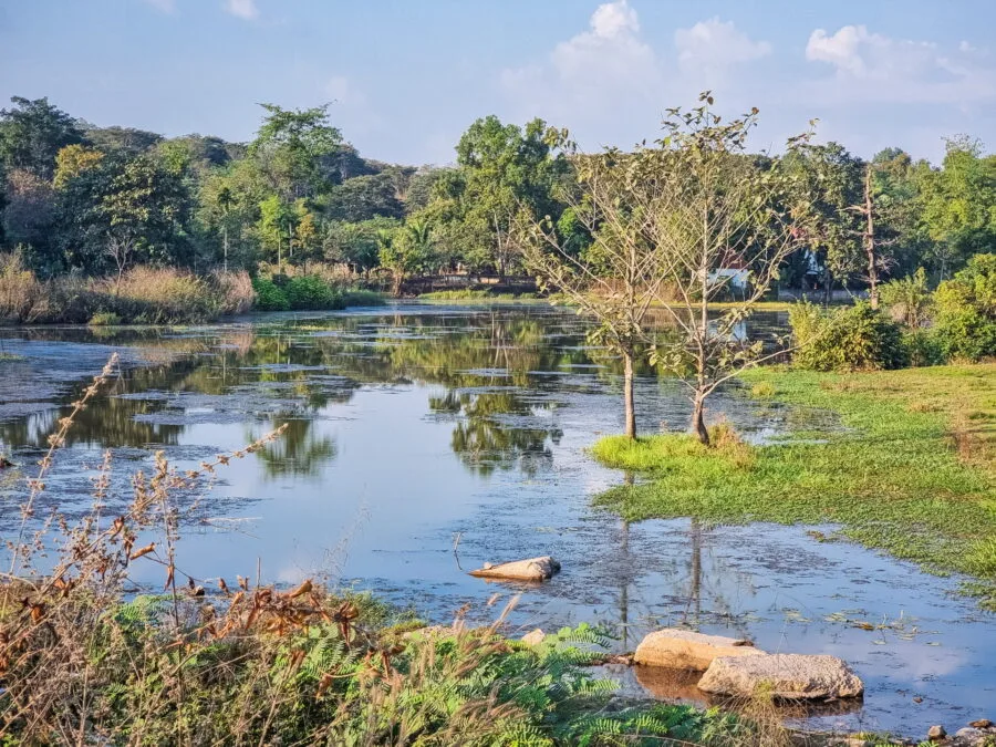 landscape near Vientiane, Laos